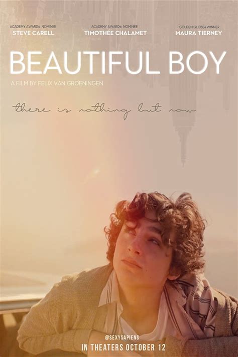 beautiful boy parents guide